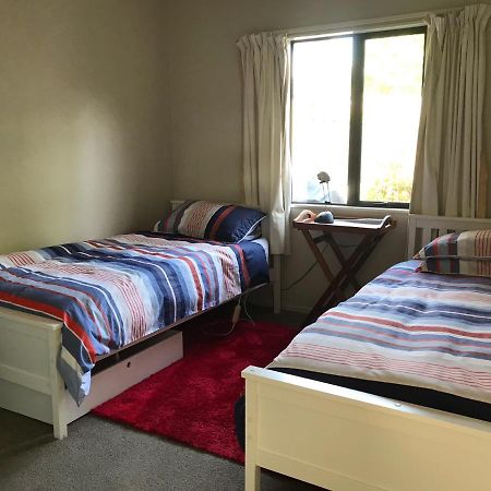 Foot Of Turoa Chalet 奥阿库尼 外观 照片